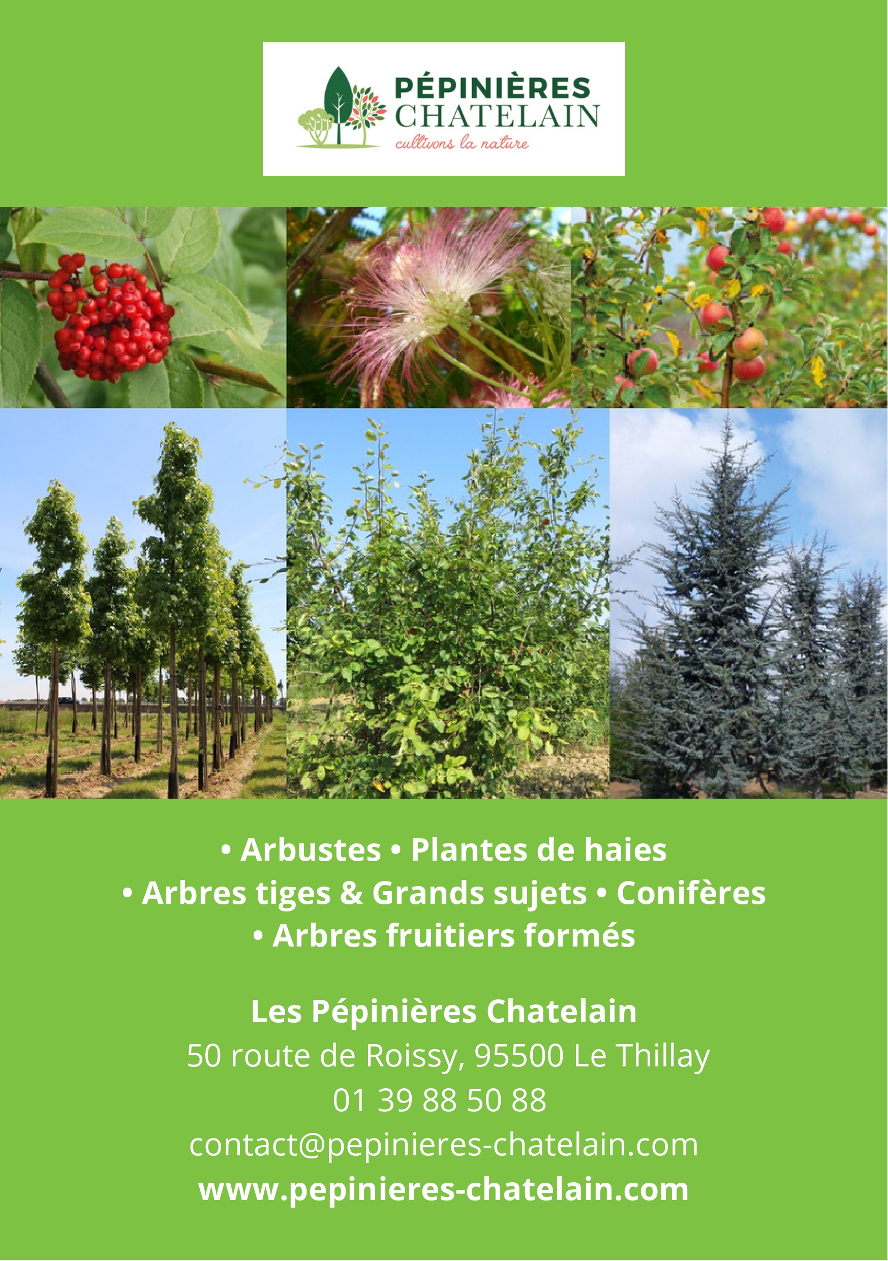 Affiche de 